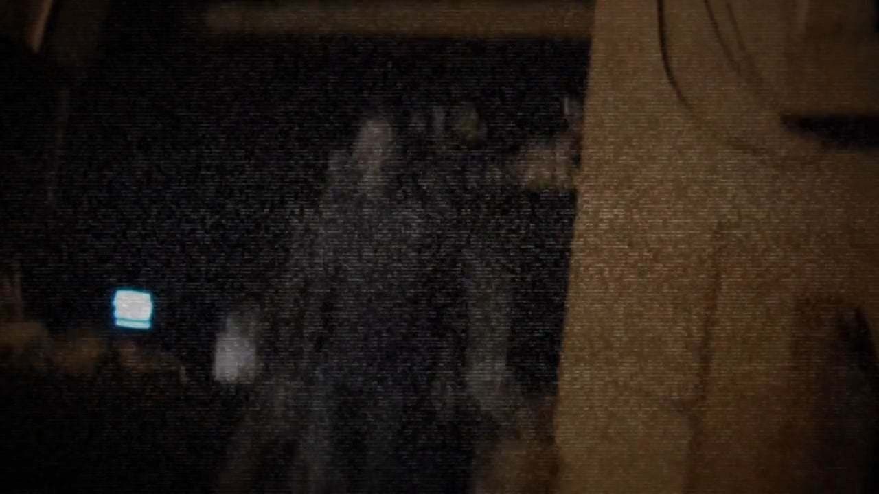 The Coffin Footage