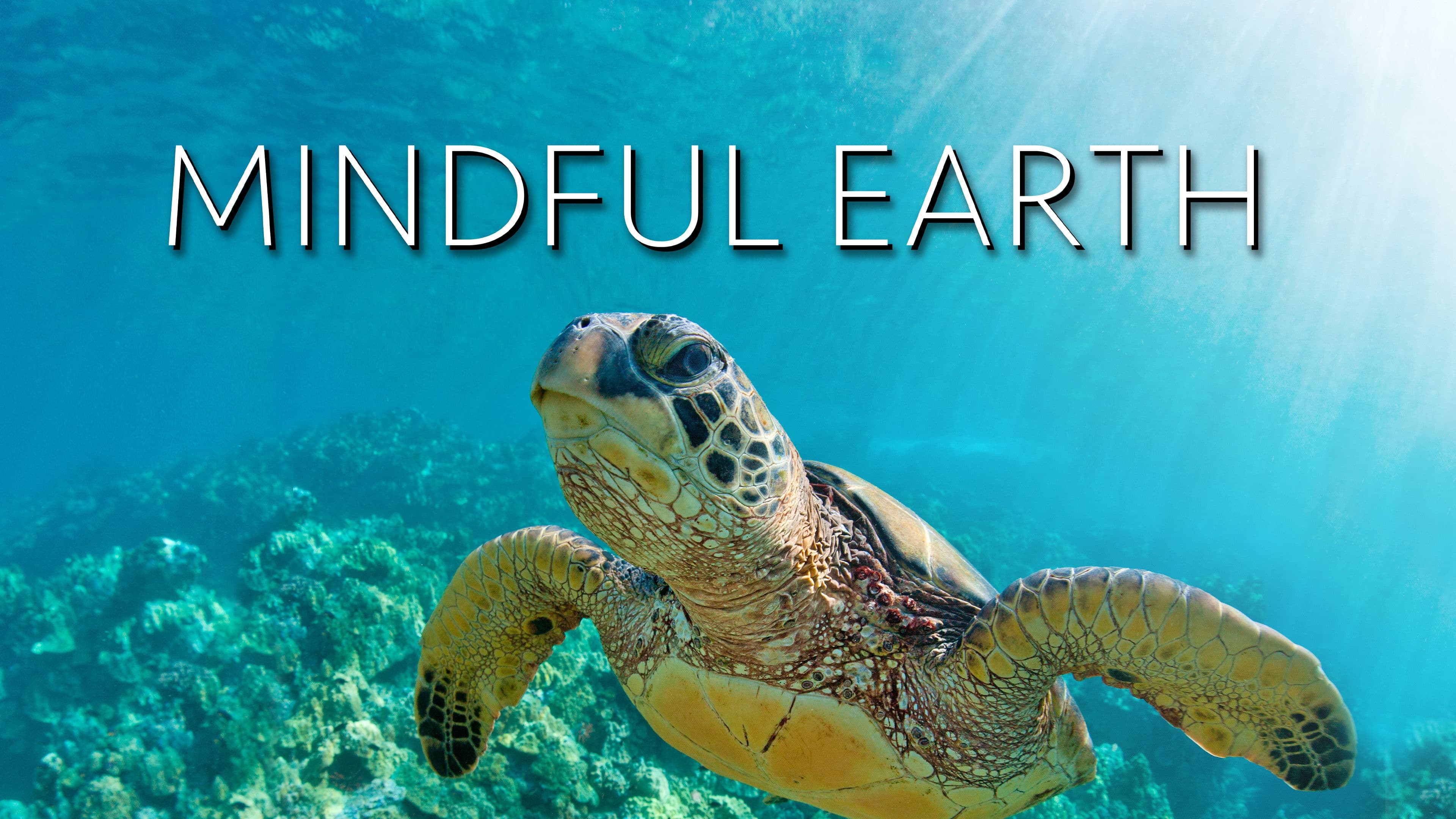 Mindful Earth