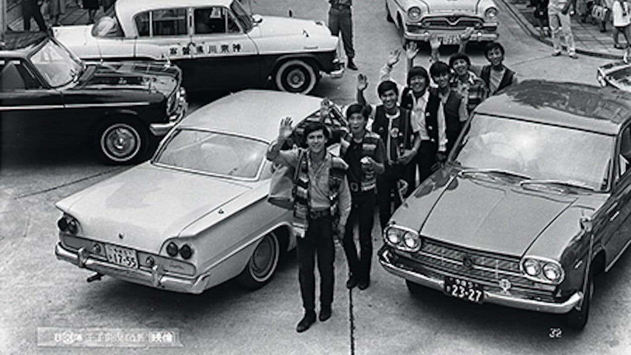 The Spiders: The Reckless Operation