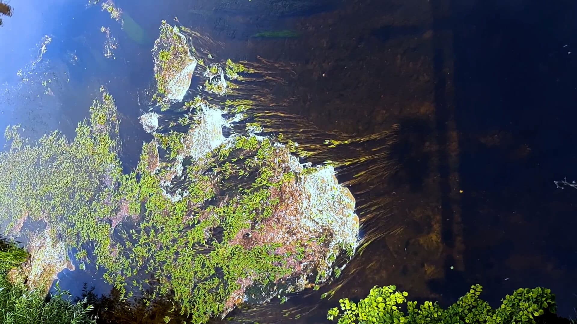 Between the valleys, between the hills. In the footsteps of the future sound of Slovakia.