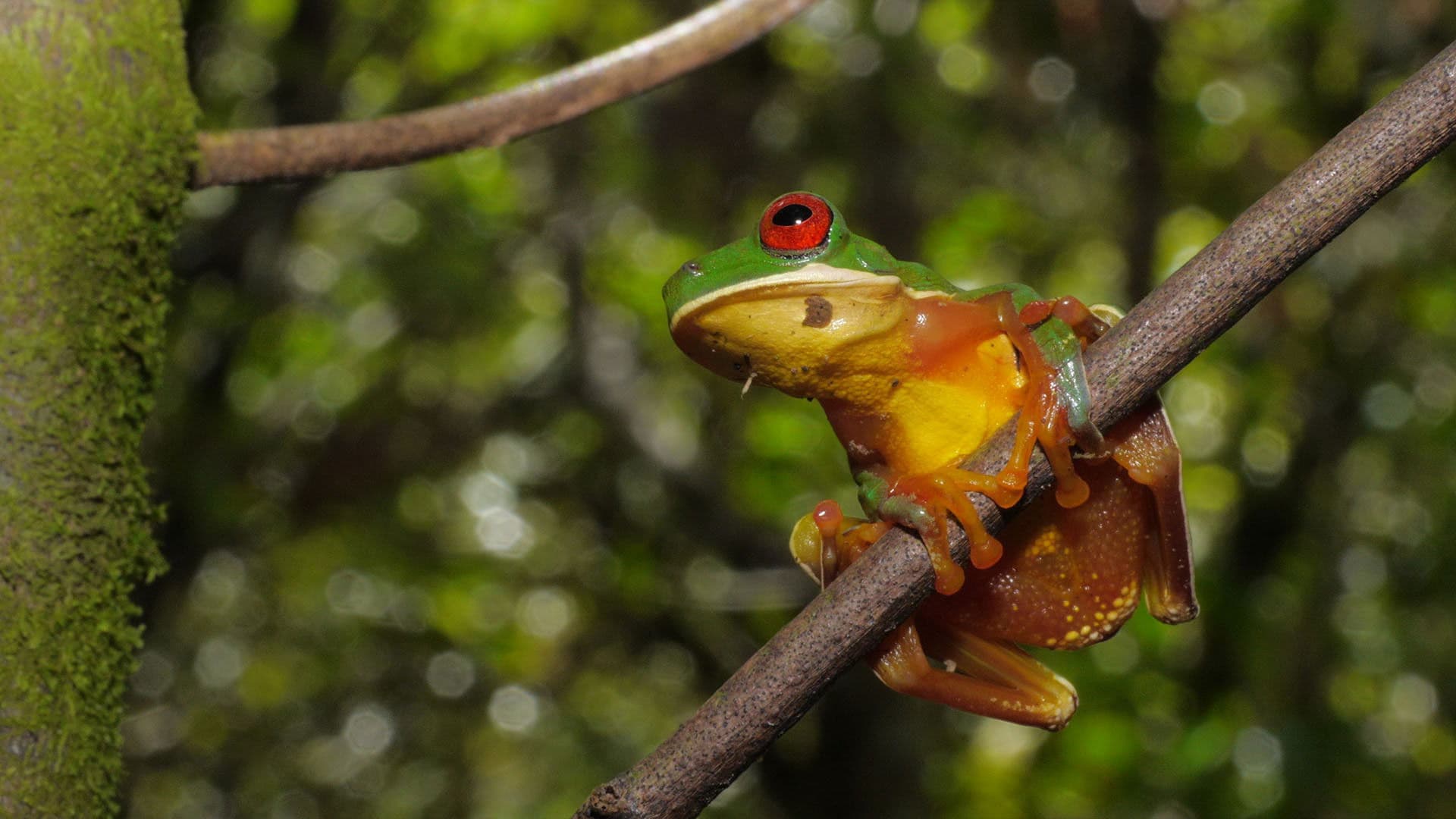 Extraordinary Ecosystems