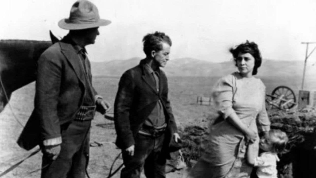 The Lady of the Dugout