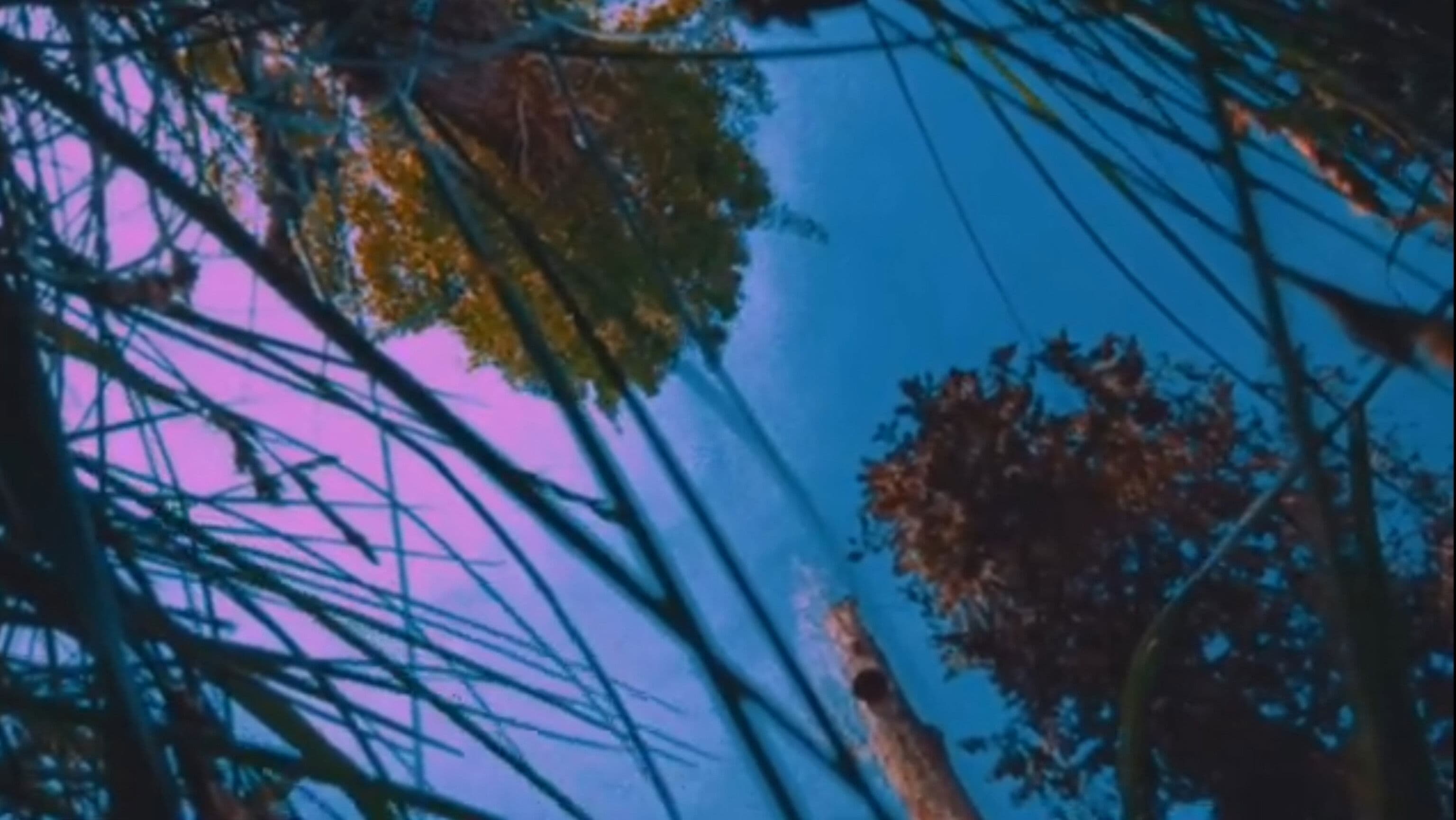 Nostalgia of Everything