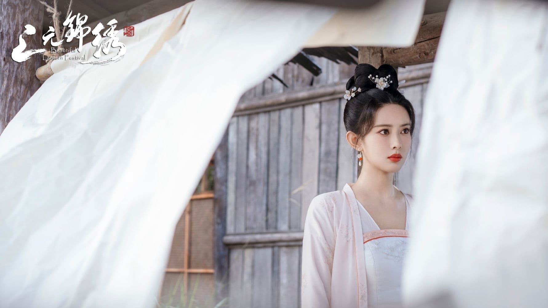 Beautiful Lantern Festival