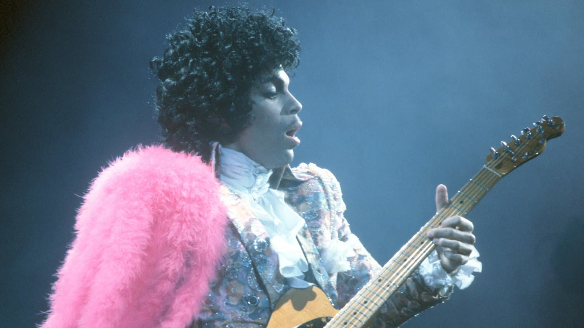 Prince and the Revolution: Live