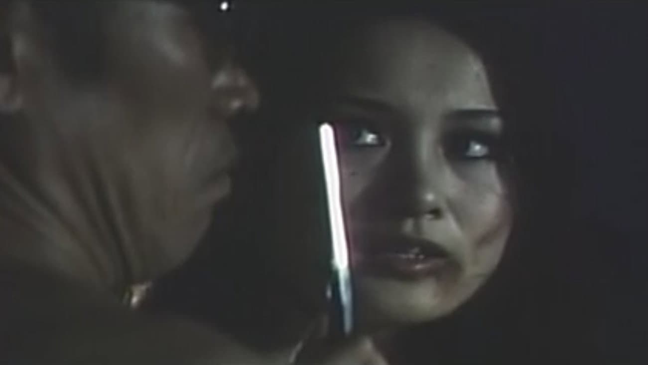 Sanctuary in the Night