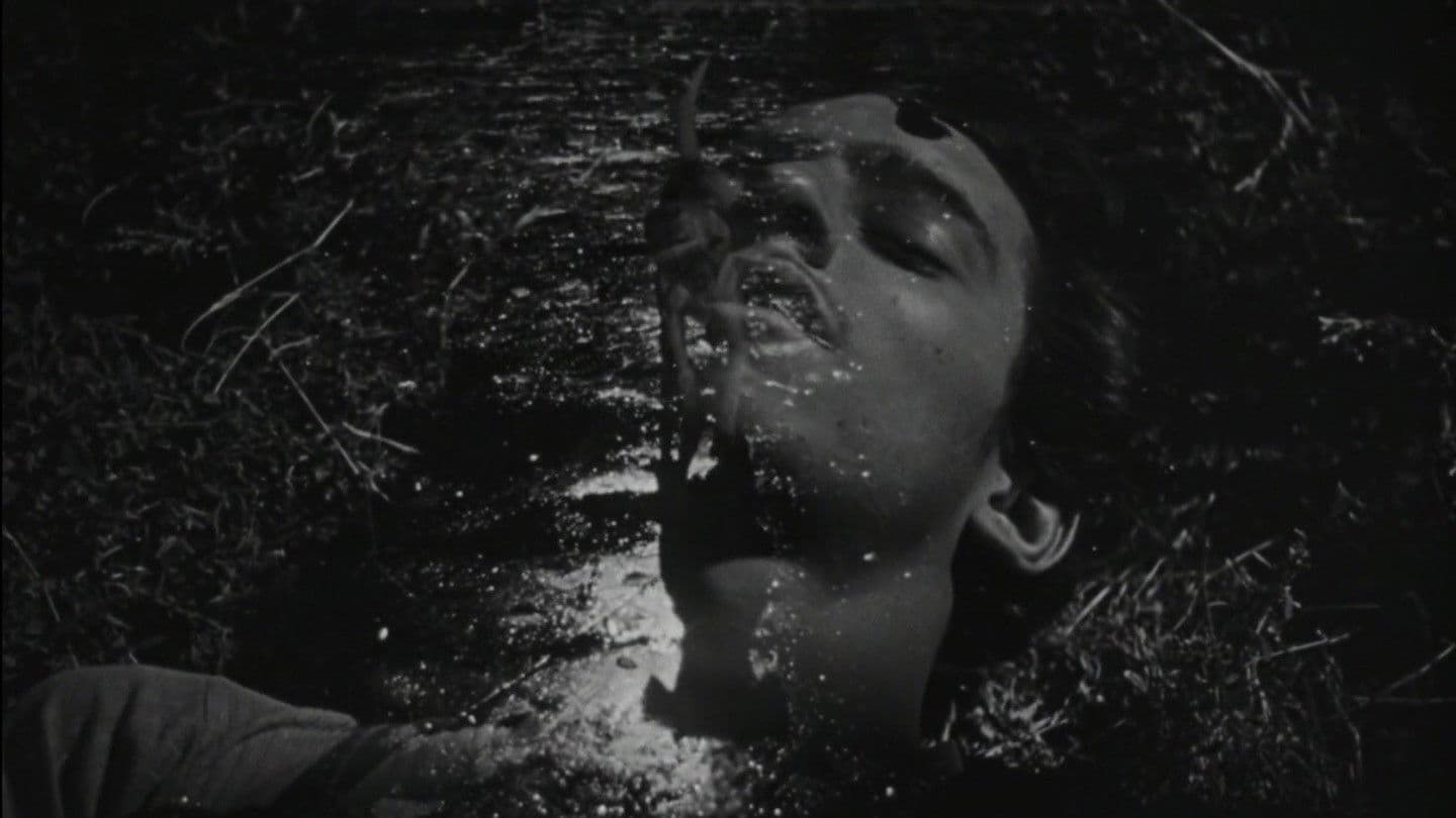 The Young and the Damned