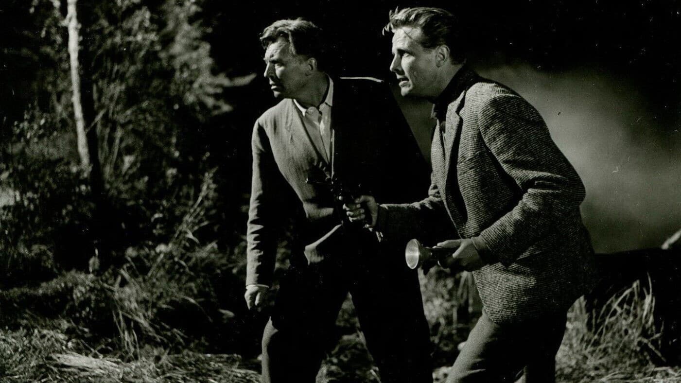 Der Schatz vom Toplitzsee