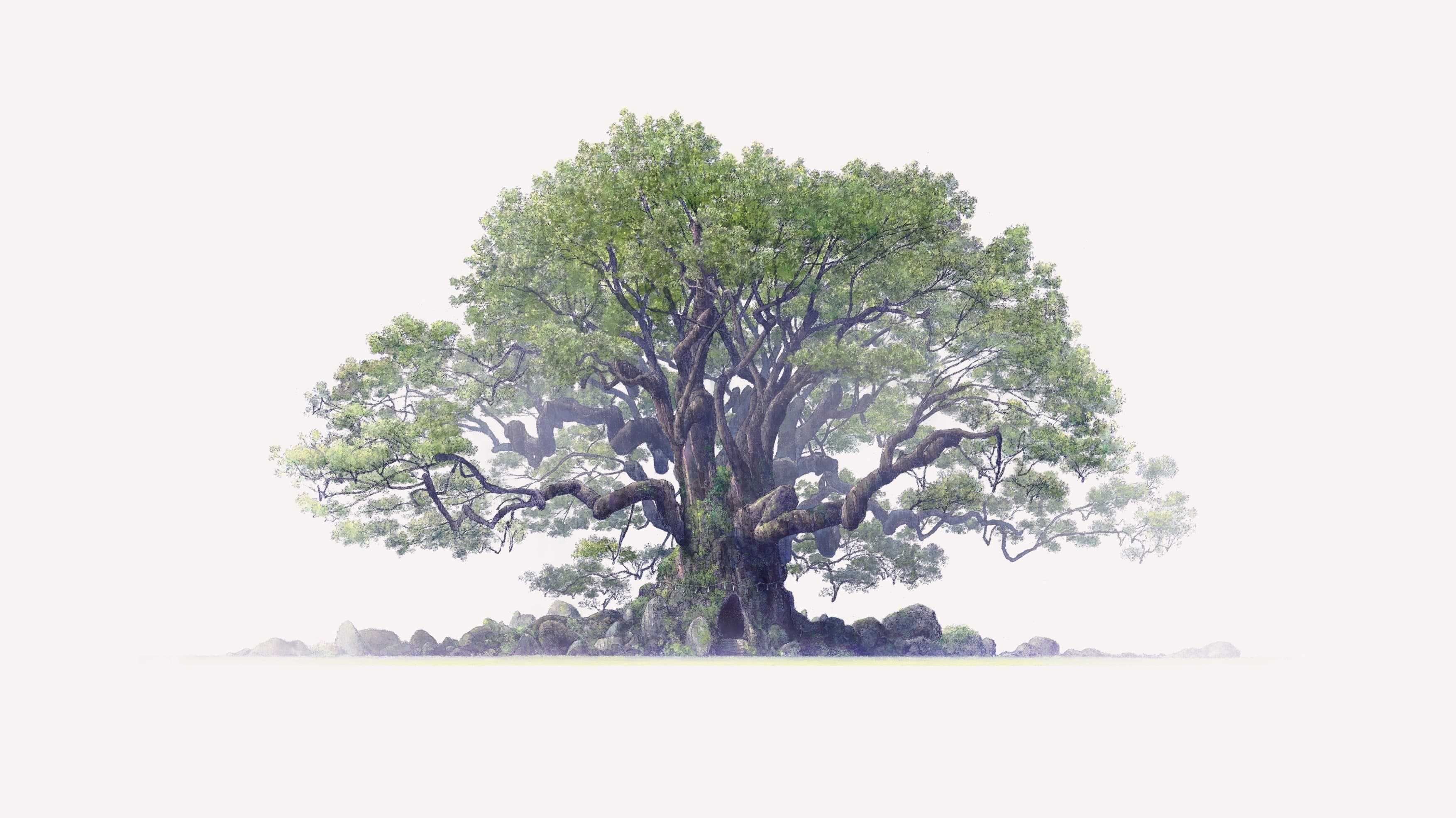 The Keeper of the Camphor Tree