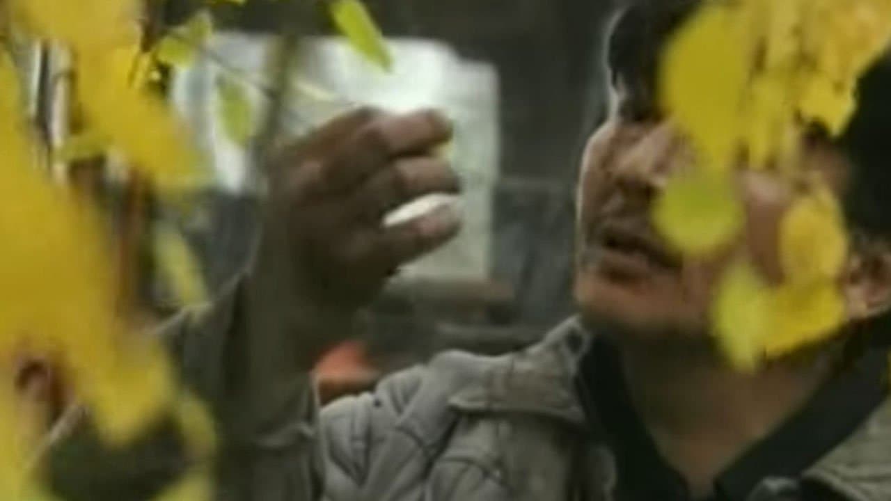 The Thread of Dreams