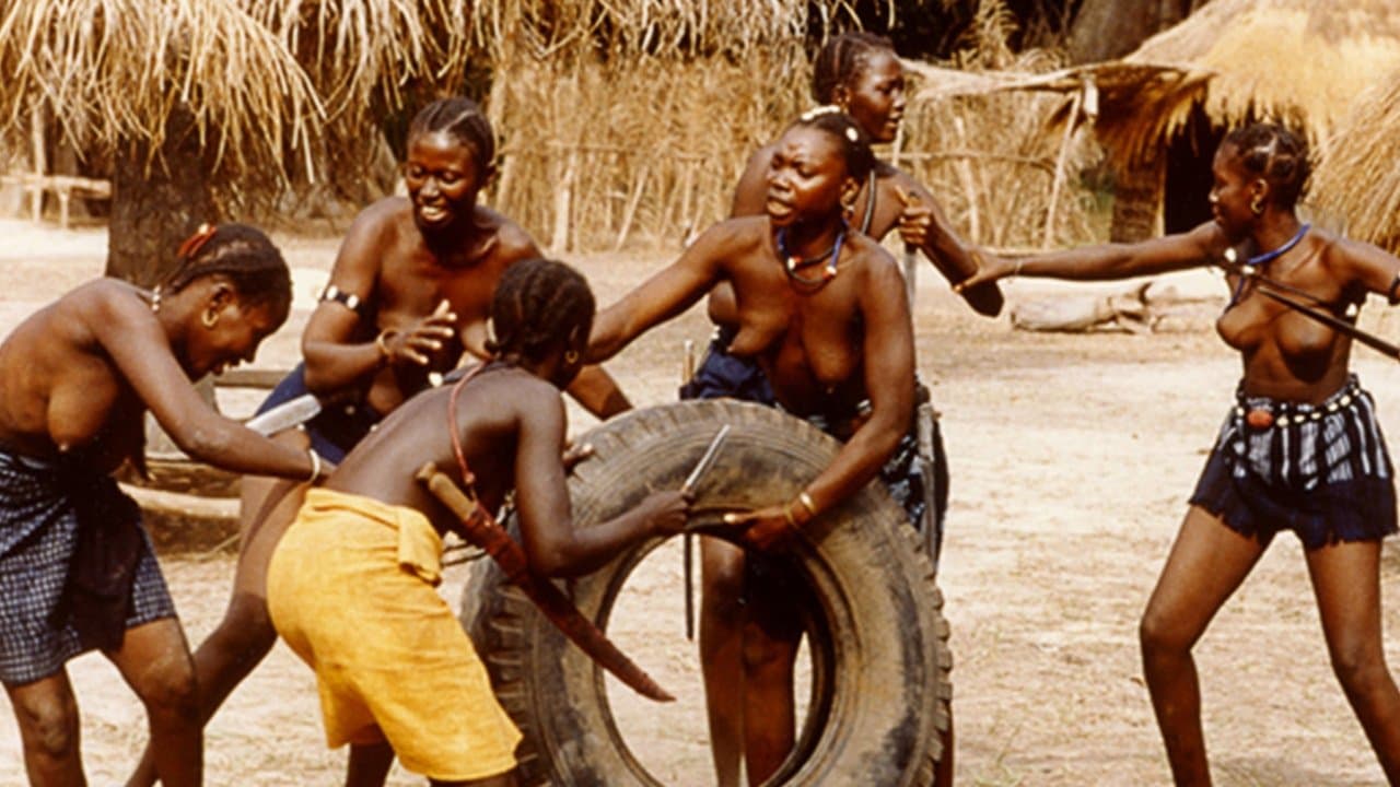 And Then There Was Light