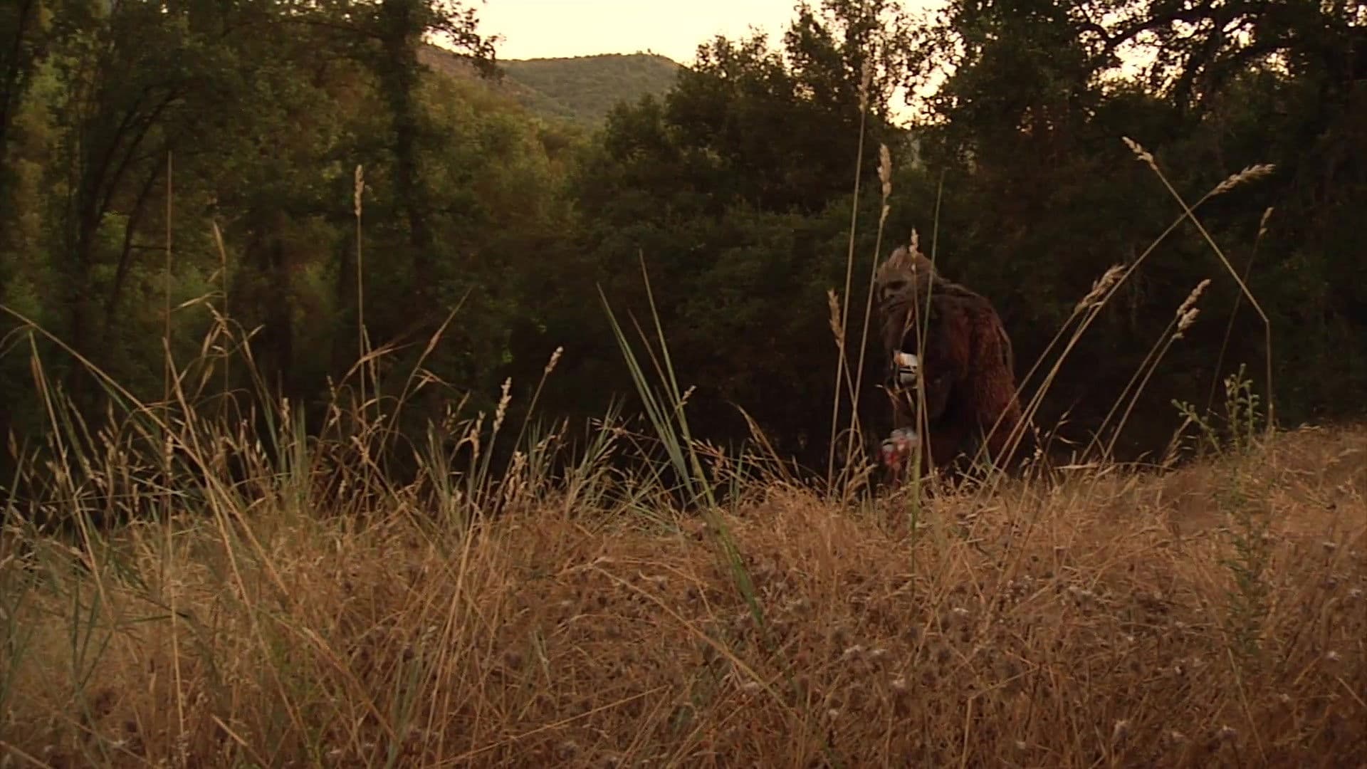 Bigfoot's Wild Weekend