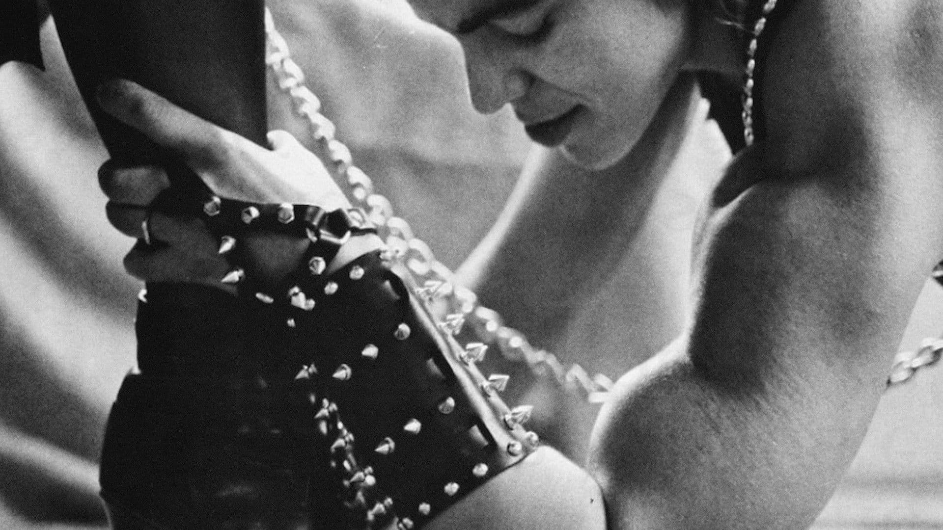 BloodSisters: Leather, Dykes, and Sadomasochism