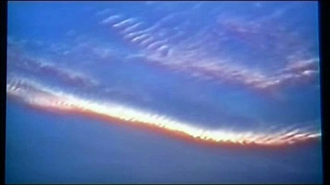 A Springtime Morning