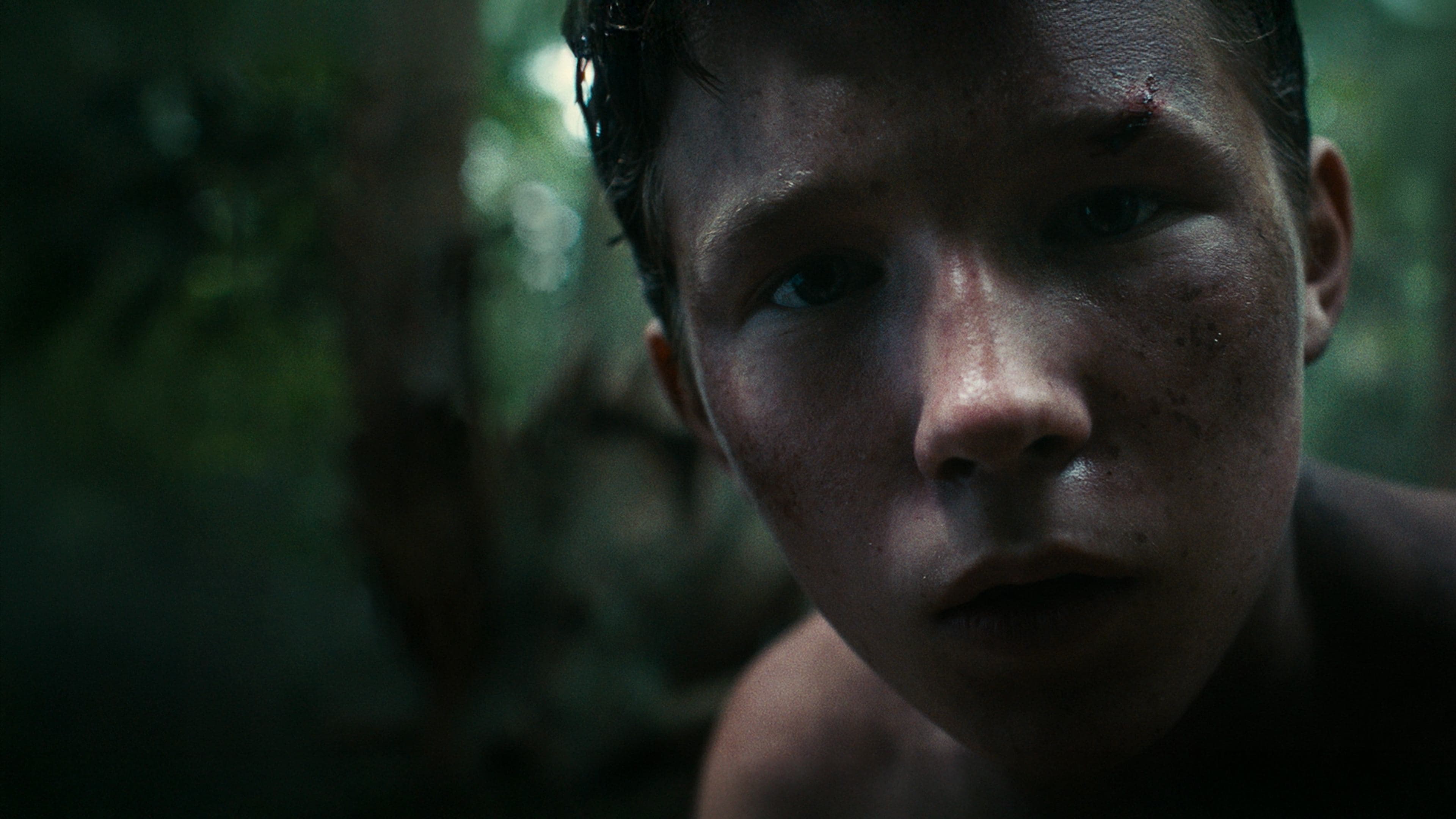 Lost on a Mountain in Maine