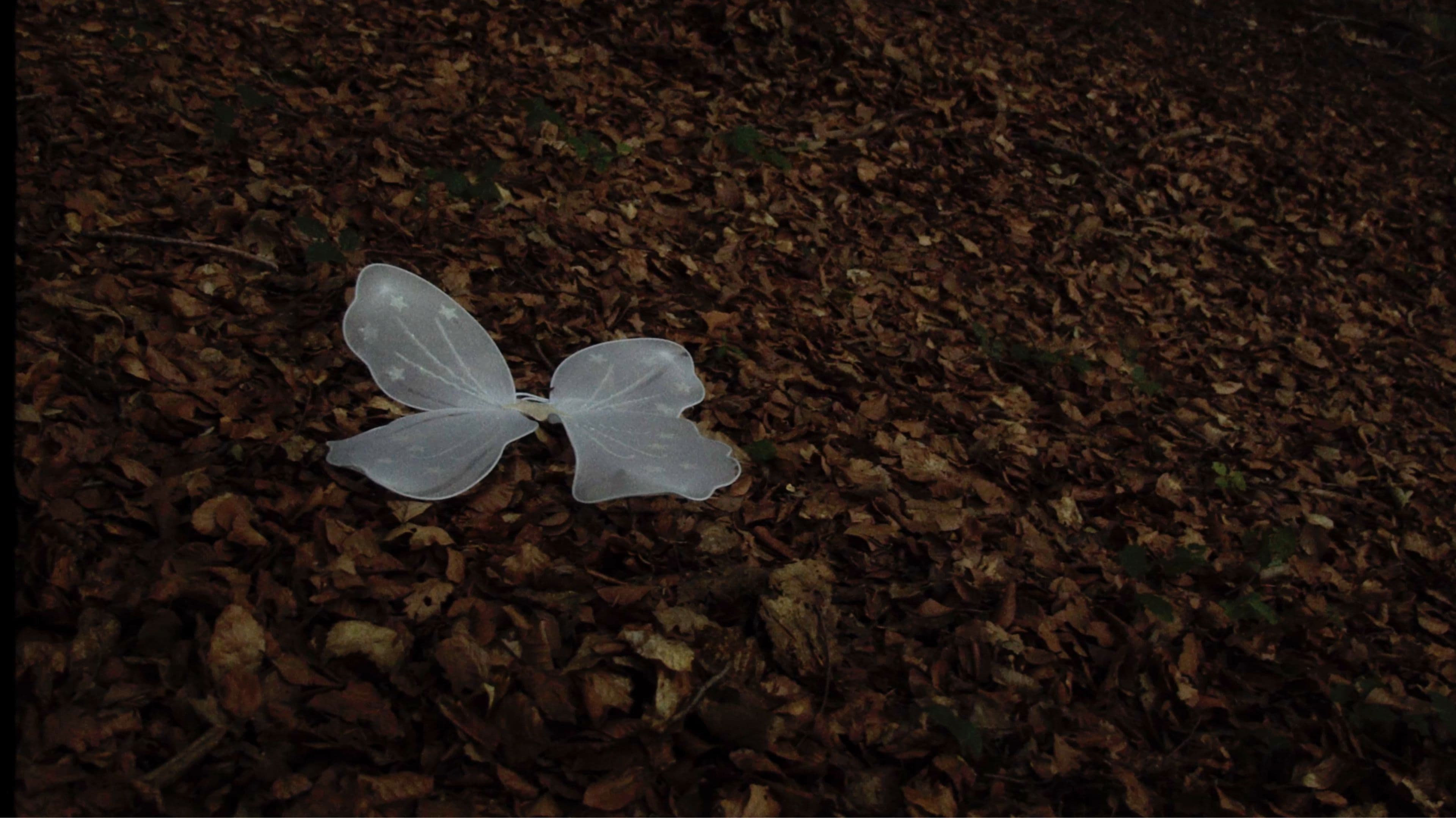 Quan ningú ens mira