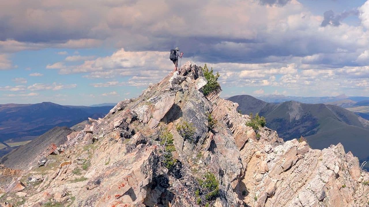 Life on a Knife's Edge