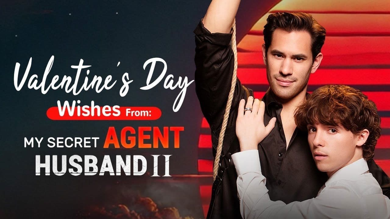 My Secret Agent Husband