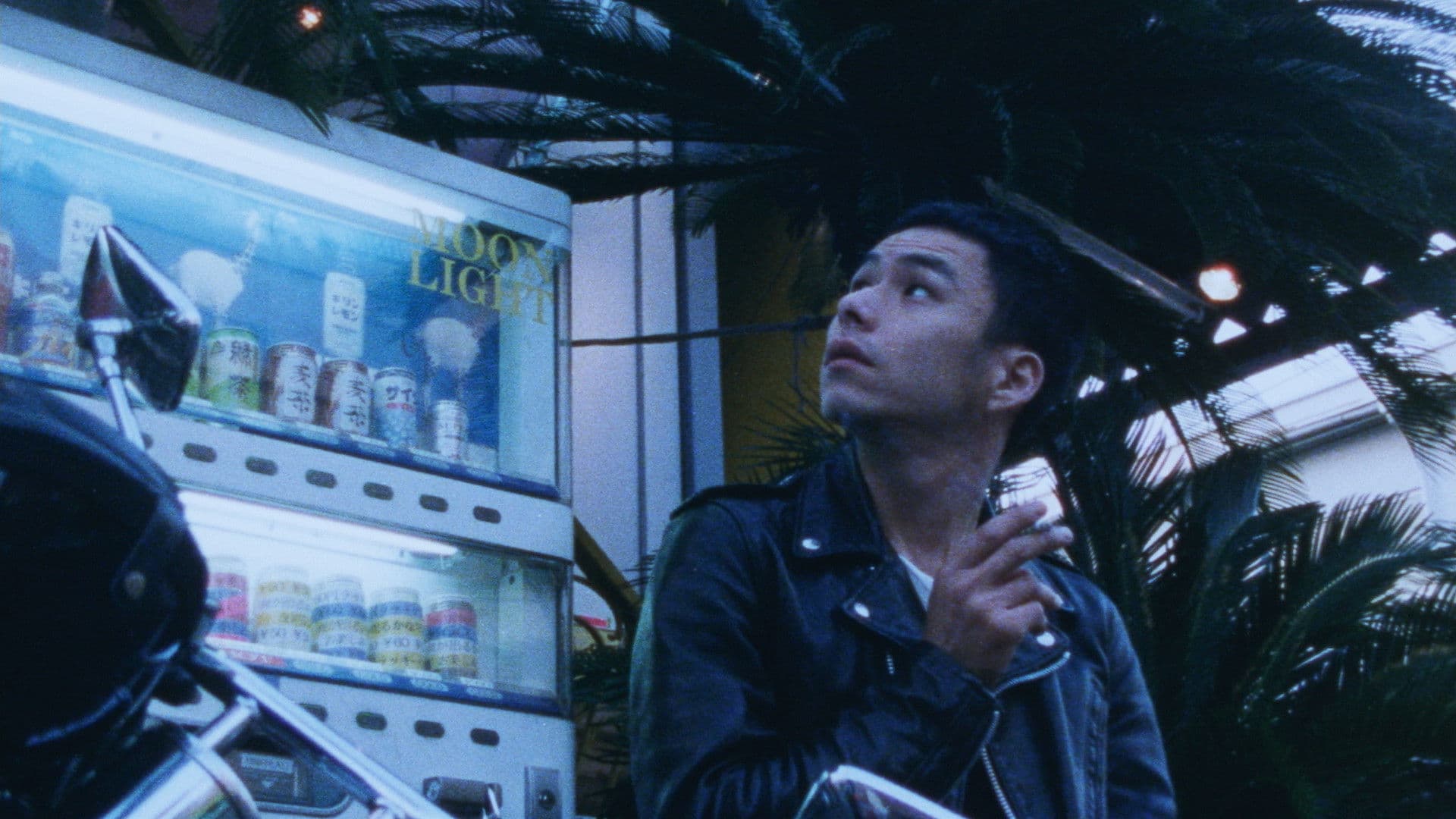 Looking for an Angel