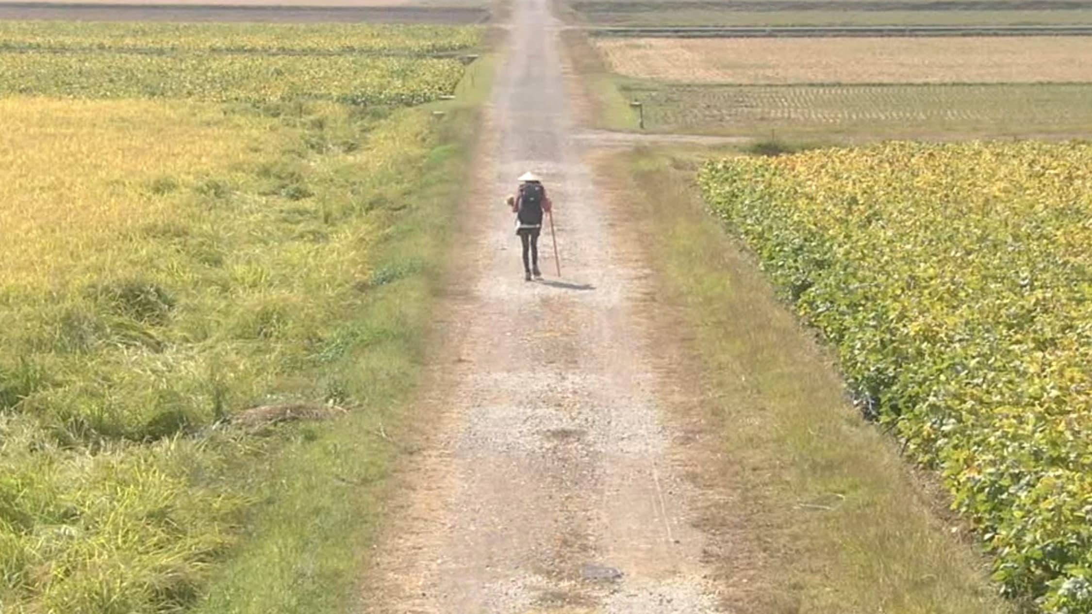 Walk, Walk, Walk ~ Shikoku Pilgrimage Journey