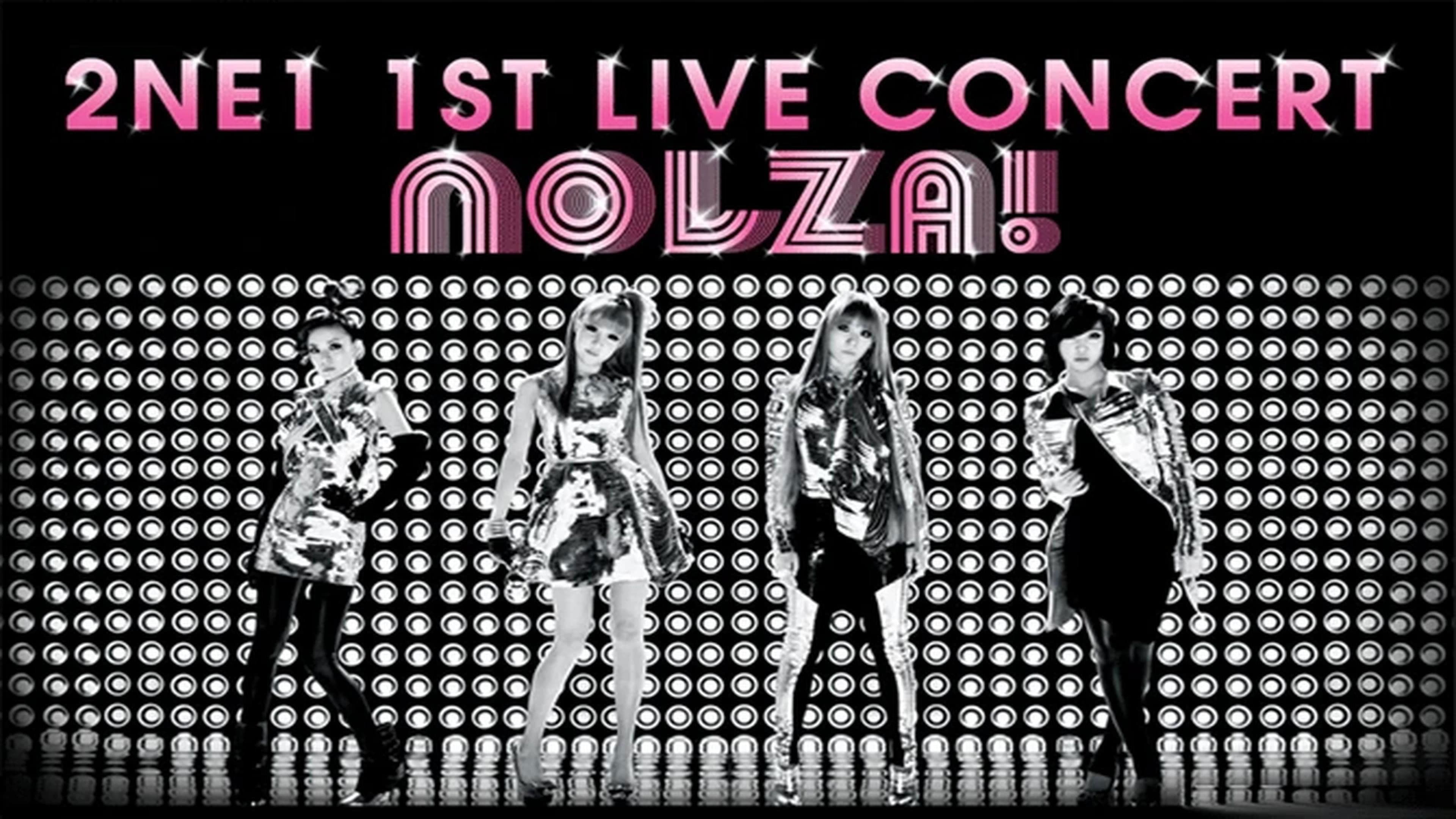 2NE1: 1st Live Concert NOLZA