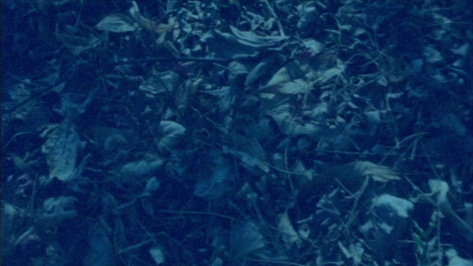 Surface Memory Oblivion