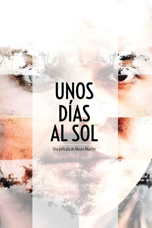 A Few Days in the Sun