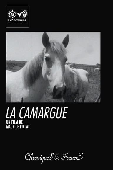 La Camargue