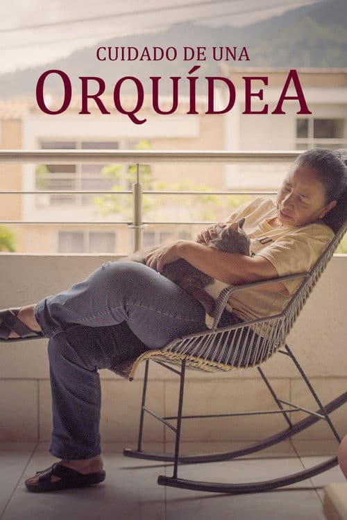 Cuidado de una Orquidea