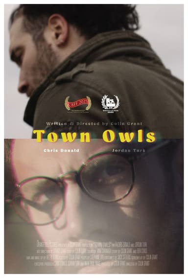 Town Owls