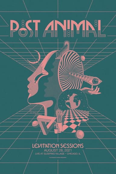 Post Animal - Levitation Sessions