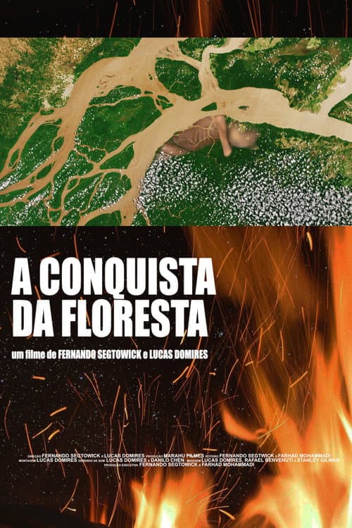 A conquista da floresta