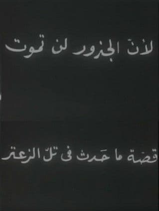 Because Roots Don’t Die