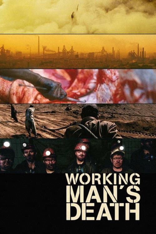 Workingman's Death