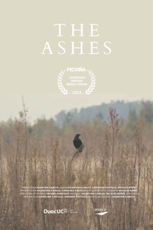The Ashes
