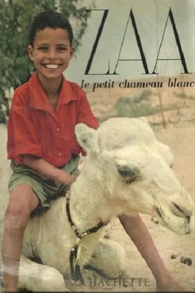 Zaa, the Little White Camel