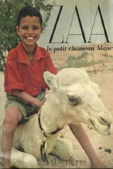 Zaa, the Little White Camel