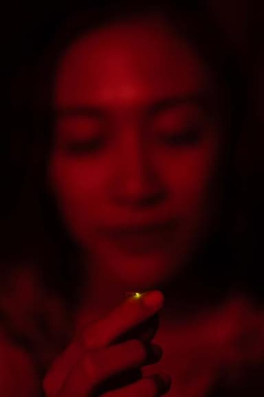 Return of the Fireflies