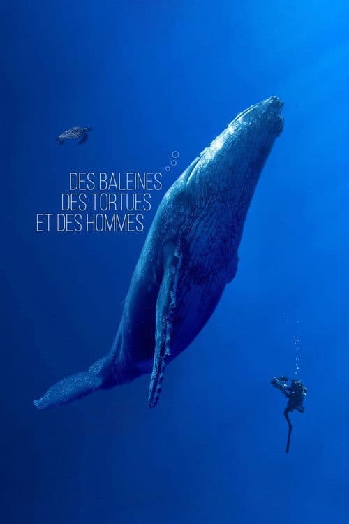Des baleines, des tortues et des hommes