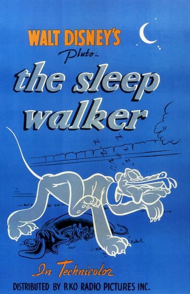 The Sleepwalker