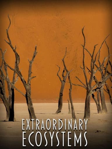 Extraordinary Ecosystems