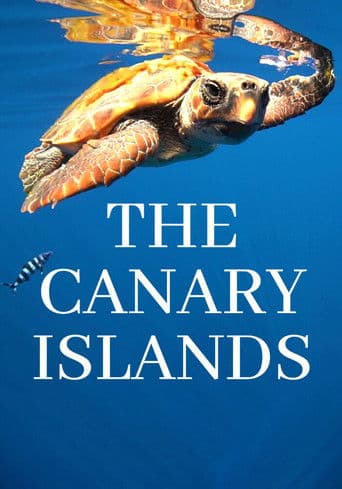 The Canary Islands