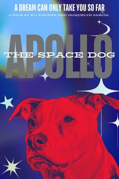 Apollo: The Space Dog
