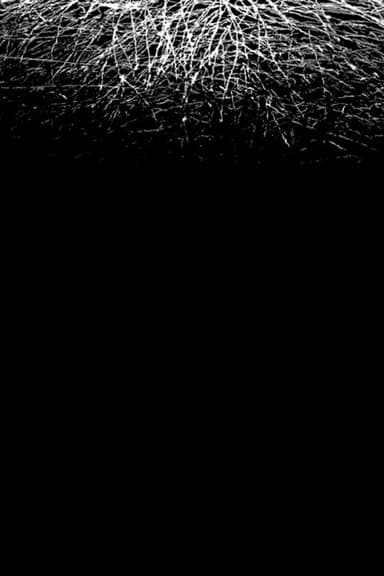 For When I Think, There is This Heaviness That I Would Rather You Not Carry