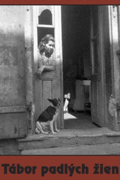 Camp of Fallen Women