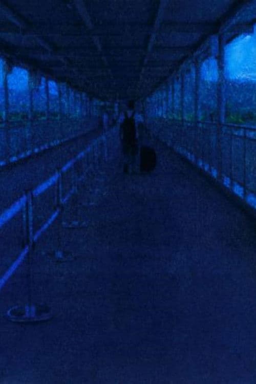 A Foreigner, I Came, A Foreigner, I Leave.