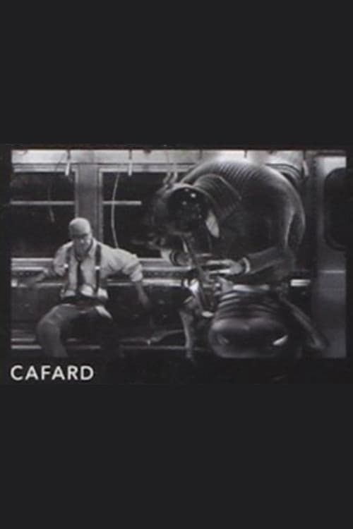 Cafard