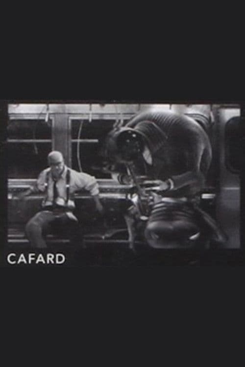 Cafard