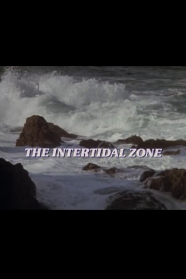 The Intertidal Zone