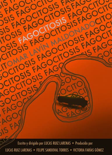 Fagocitosis